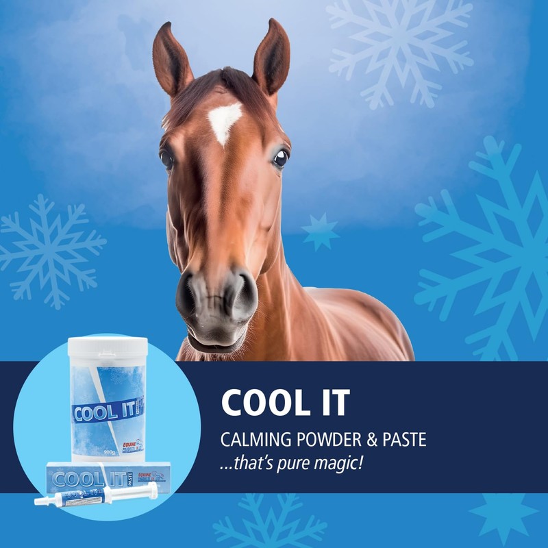 Equine Products Cool It Paste. Calmer For Horses. Fed to
