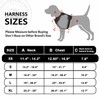 Sunraymascota No Pull Dog Harness, Reflective Puppy Vest for Small