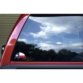 StickerTalk Texas Flag with Armadillo Vinyl Sticker, 4 inches by 2.5 inches