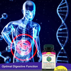 Suplementos para la hinchazón Probióticos Salud intestinal Refuerzo inmunológico