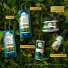 Aceite Capilar Reparador Herbal Essences Biorenew Argan/aloe