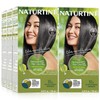 Naturtint Permanent Hair Color 1N Ebony Black (Pack of 6),