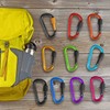 3" Locking Carabiners | Keychain Carbineers D Ring Key Clip