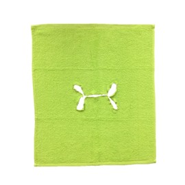 EXKLUSIV HEIMTEXTIL Massage Table Towel with Nose Slit, Pack of 5, Apple Green