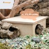 Niteangel Birch Chamber Maze Hamster Hideout - Small Pets Forest