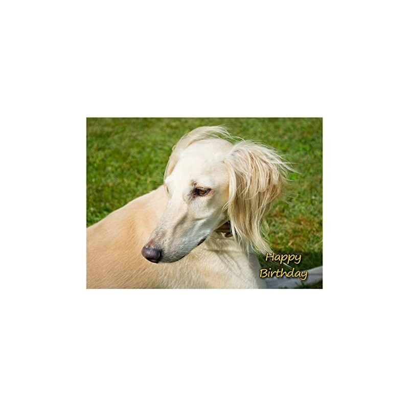 Saluki Dog Birthday Card