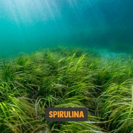 Cupplement - Spirulina 300 Tablets - Organic - Highest Quality - 6 Tablets per Day