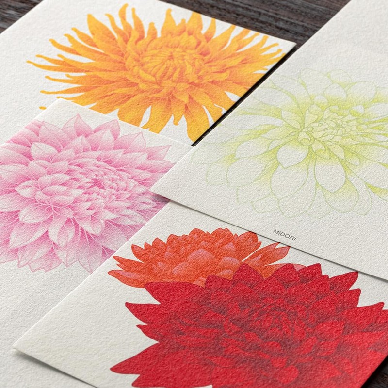 Midori 89568006 Single Pencil Notebook, Autumn Letter, 4 Patterns, Dahlia
