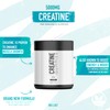 WELLSET Creatine Gummies 5000MG | 120 Chewable Creatine Monohydrate Vegan