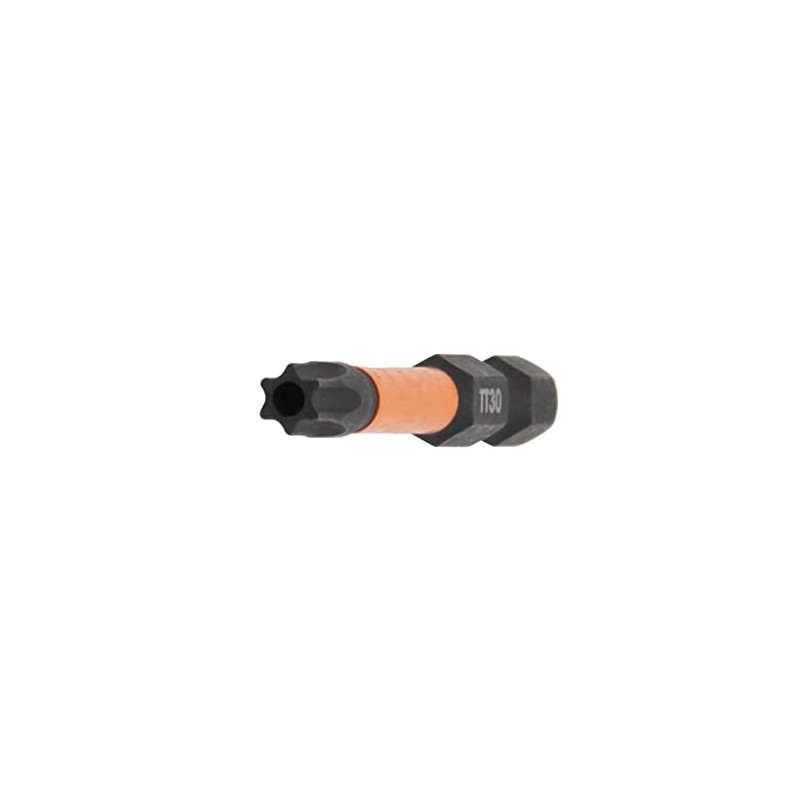 Railer TORX T30 Security Bits - 4 Pack, 2 Inch,