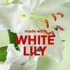 Tree Hut Sunkissed Poppy Shea Sugar Scrub, Exfoliating, Hydrating &