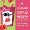 Wiley Wallaby Licorice 10 Ounce Classic Gourmet Soft & Chewy