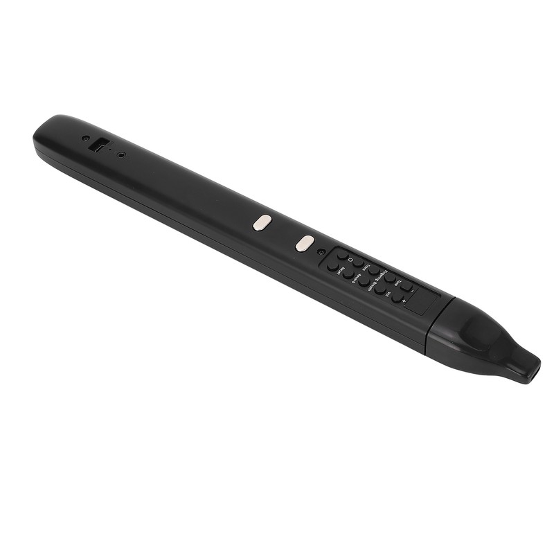 Electric Blowpipe 10 Timbre Mini Portable Rechargeable Detachable Digital Wind