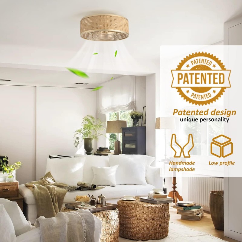 ainqiant Boho Caged Ceiling Fan with Light, 20'' Rattan Flush