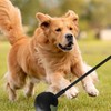 Pet Ball Thrower for Dogs | Interactive Dog Toys Thrower,Retractable