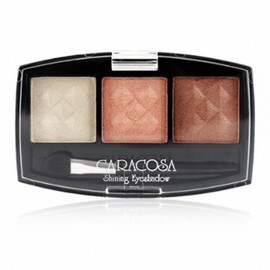 Soft-Touch Accent Color Eyeshadow Kit with Minimal Fallout Shade 304