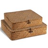 2 Pcs Lidded Seagrass Baskets, Boho Rattan Closet & Makeup