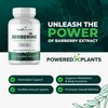 POWERED X PLANTS Pure Berberine Supplement - 1300mg Berberine with