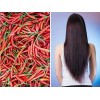 2 Shampoo Chile Y Romero Anti Caída Y Crecimiento Cabello