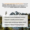 Ascent Nutrition Pine Needle Extract | Contains Naturally Occurring Shikimic