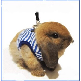 [Rainbow] Rabbit ha-nesuranranha-nesuburu- , bule