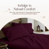 Whisper Organics Organic Cotton Flannel Pillow Case Set (Queen, Aubergine)