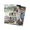 Angela Harding: Wildlife Set of 3 Mini Notebooks: Wildlife Set