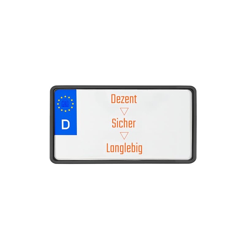 License Plate Holder 240 x 130 Light Motorcycle License Plate