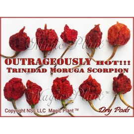 Magic Plant Farms Trinidad Moruga Scorpion Chili Pepper Whole Pods 1lb (454g)