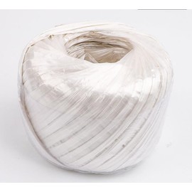 ASEANAO Polyester Nylon Plastic Rope Twine, Household Bundled for Packing Gardening Craft,20 MM Width and 100m Length (White), 95348