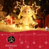 Quntis Fairy Lights Light Curtain Christmas Lights for Windows