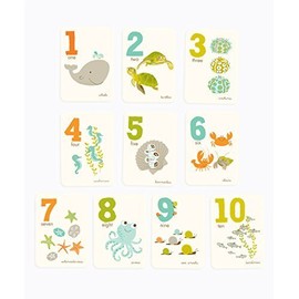 Counting Flash Cards, Numbers Wall Art, Number Flash Cards, Nursery Decor, Ocean Number Wall Art