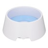 Pet Slow Water Feeder Splash Proof Prevent Slip Raised Water