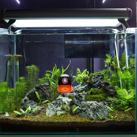 BESPORTBLE Pack of 4 Coral Stand Holder Acrylic Aquarium Stand Base for Coral Growth and Reproduction, Fluorescent, Easy to Install and Clean