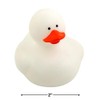 Fun Express Rubber 2" Solid Color Duckies - 12 Ducks