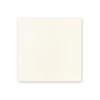Midori Notebook, MD Notebook, A5 Square, Thick, Unruled, 15349006
