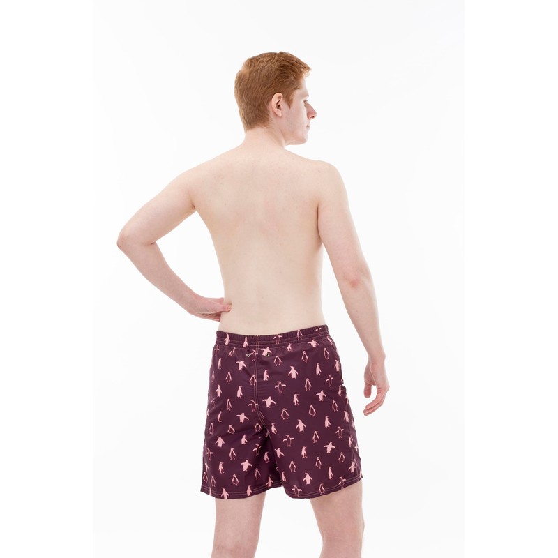Kes-Vir Men's Penguin Board Eco-Shorts, with Built-in Waterproof Inner Briefs