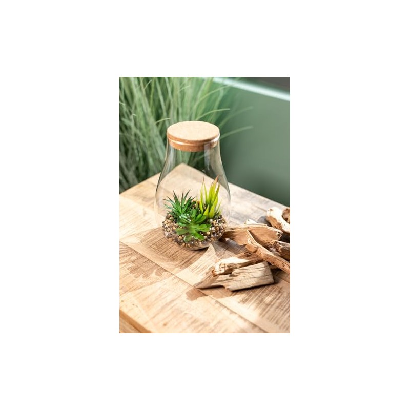 Artificial Succulent Mix in Glass with Lid 13 x 22
