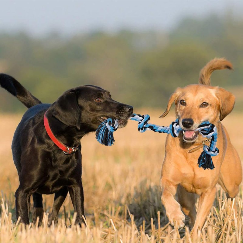 TAKMOO Juguetes para Perro, Cuerda para Masticar Perros, Cuerda Indestructible