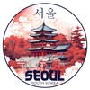 Seoul South Korea Design B Souvenir Decorative Flat Magnet 4-Inch