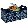Picnic at Ascot 3 Section Folding Trunk Organizer- with Removable
