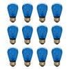 Xtricity Incandescent S14 Edison Light Bulb, String Light Replacement, E26