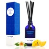 Xcleen Reed Diffuser Set for Home| 3.7 Oz(110ml) Hawaiian Holiday