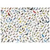 EuroGraphics The World of Birds (1000 Piece) Puzzle