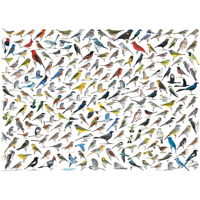 EuroGraphics The World of Birds (1000 Piece) Puzzle