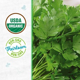 Back to The Roots 100% Organic Seed Packet - Parsley 'Italian Large Leaf' 420mg