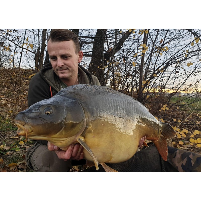 Tandem Baits Carp Feed Fishing Food Pop Ups Boilies Zig