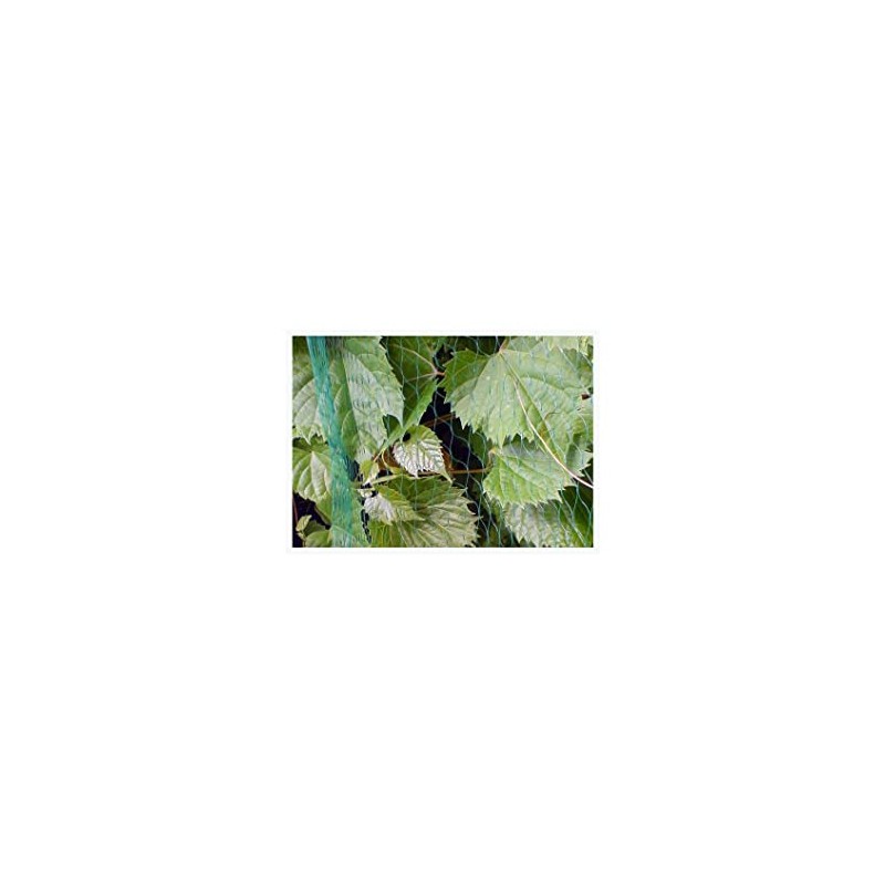 Bird Protection Netting Plant Protection Net – Various Sizes Available,