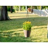 Melphoe Hanging Planter for Indoor Plants Self Watering, 8 Inch
