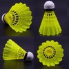 Paifeancodill Badminton Shuttlecocks Birdies, 12 Pcs Nylon Badminton Birdies, Feather